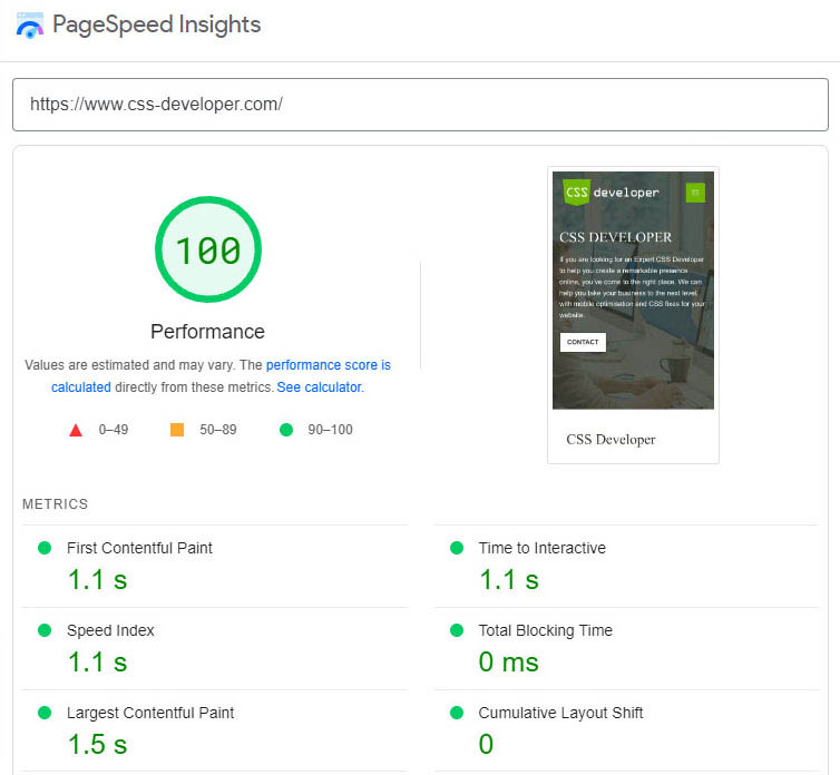 CSS developer pagesspeed insights